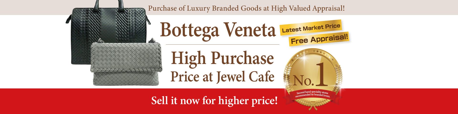 Purchase of Bottega Veneta handbag