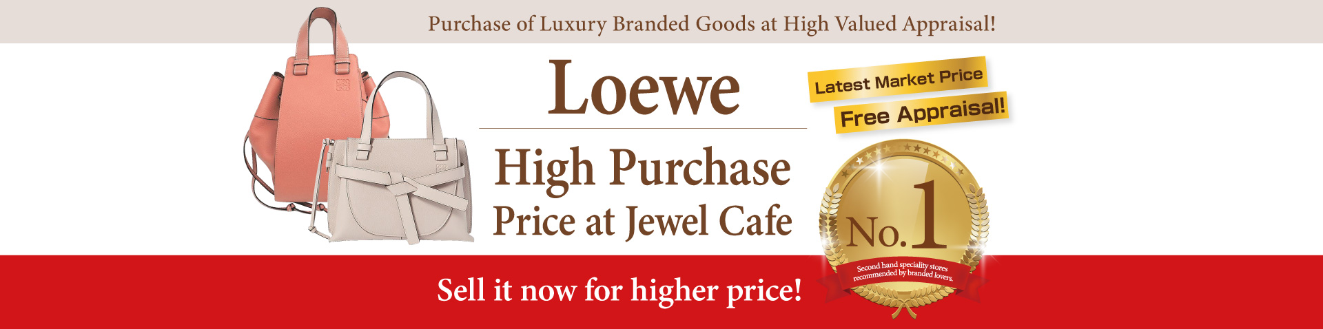 Purchase of Loewe handbag