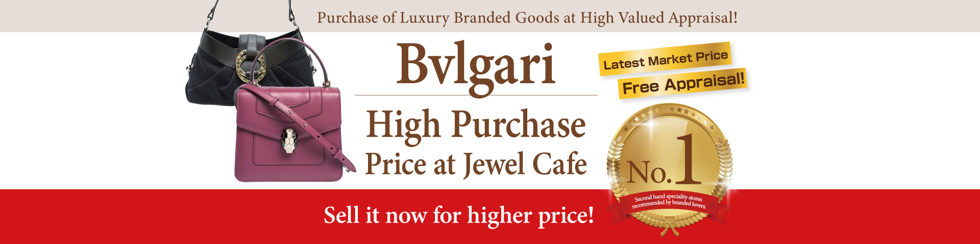 Purchase of Bvlgari handbag