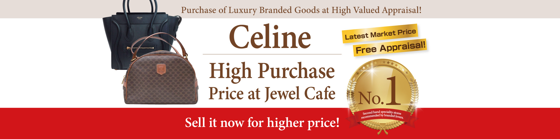 Purchase of Celine handbag