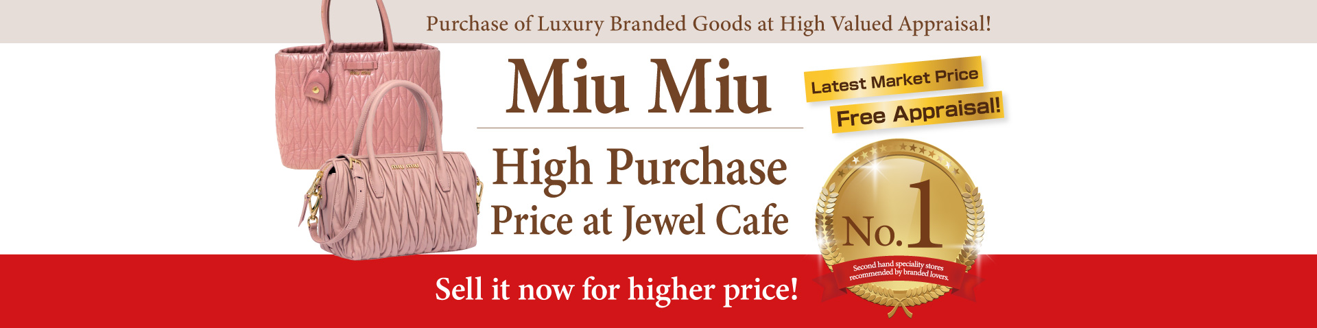Purchase of Miu Miu handbag
